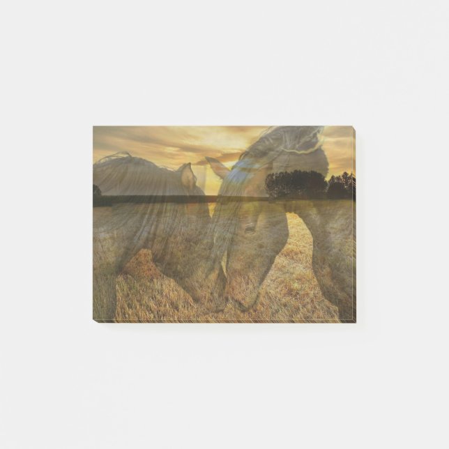 Horses Farm Field Post-it Notes (Front)