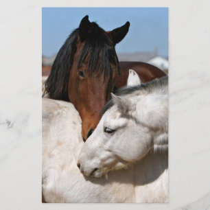horses farm ranch equine western sports love flyer