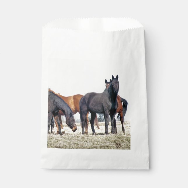 HORSES FAVOUR BAG (Front)