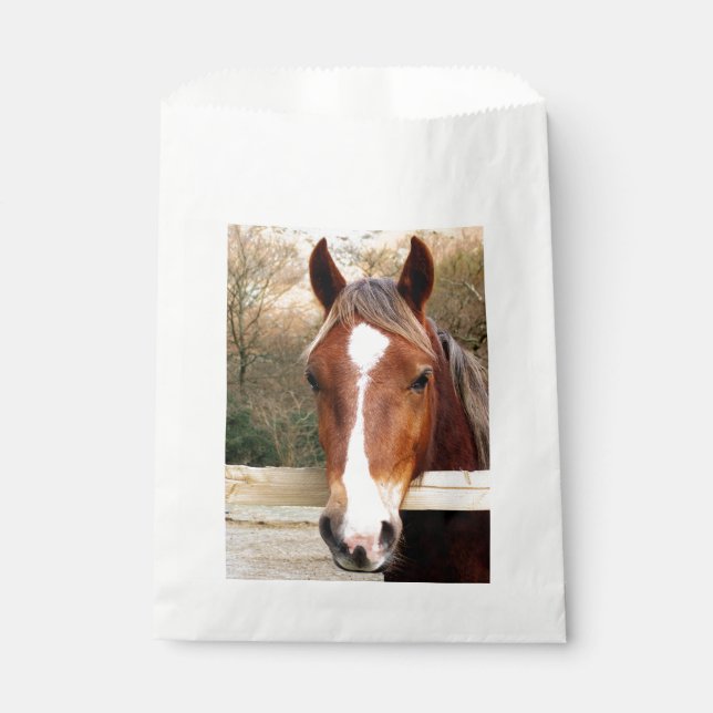 HORSES FAVOUR BAG (Front)