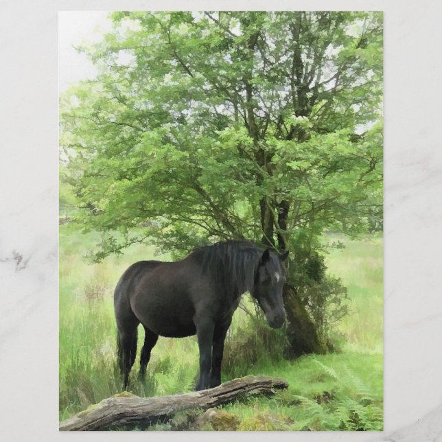 HORSES FLYER (Front)