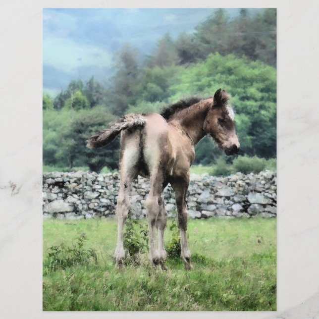 HORSES FLYER (Front)