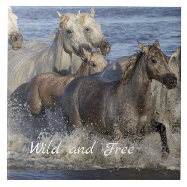 Horses galloping in the water ceramic tile (Front)