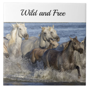 Horses galloping in the water ceramic tile