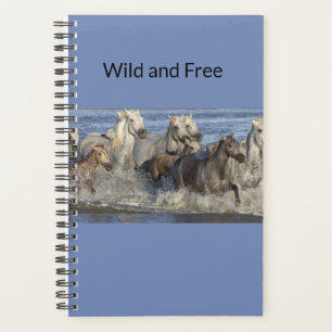 Horses galloping in the water planner