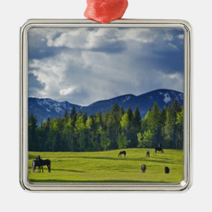 Horses graze in pasture near Whitefish, Metal Ornament