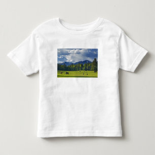 Horses graze in pasture near Whitefish, Toddler T-Shirt