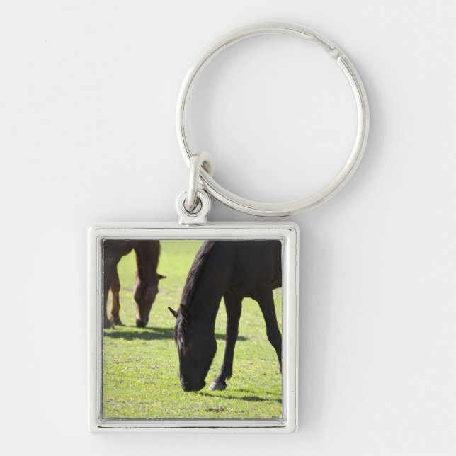 Horses grazing 2 key ring (Front)