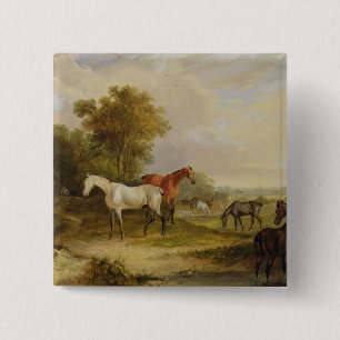 Horses Grazing: A Grey Stallion grazing with Mares 15 Cm Square Badge