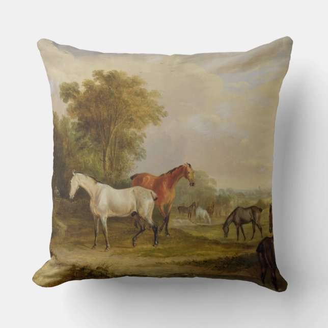 Horses Grazing: A Grey Stallion grazing with Mares Cushion (Front)