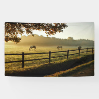 Horses Grazing in Sunrise Pasture Banner