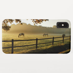 Horses Grazing in Sunrise Pasture iPhone XS Max Case