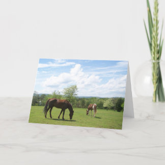 Horses Grazing on Fields Greeting Card