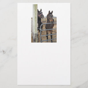 Horses Grazing Stationery
