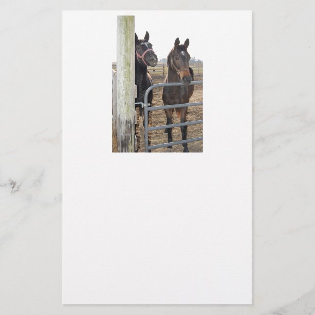 Horses Grazing Stationery (Front)