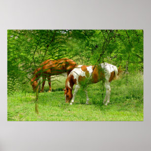 Horses Green Leaves 11 x 85 Poster