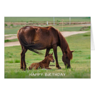 Horses Happy Birthday Card