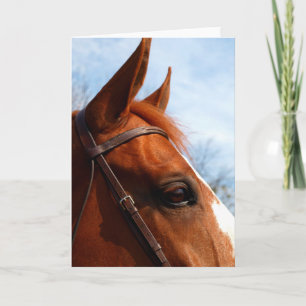 Horse's Head Photo Greeting Card