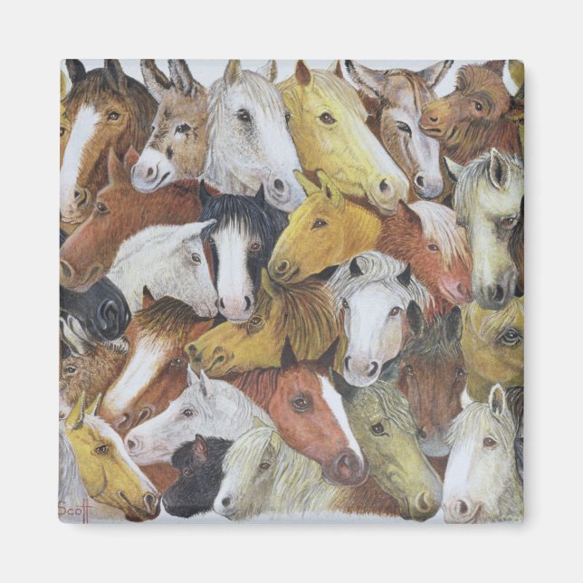 Horses Horses Magnet (Front)
