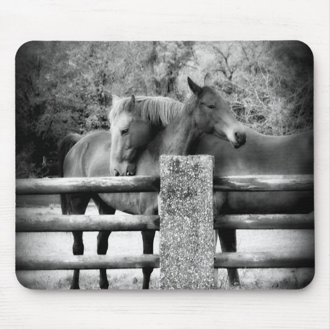 Horses Hugging - Horse Love Photograph Mouse Pad (Front)