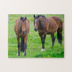 Horses in a Field Jigsaw Puzzle