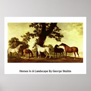 Horses In A Landscape By George Stubbs Poster