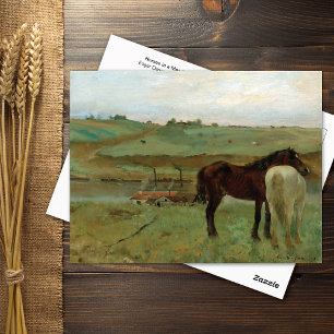 Horses in a Meadow Edgar Degas Postcard