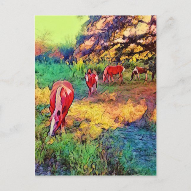 Horses in a Pasture Postcard (Front)