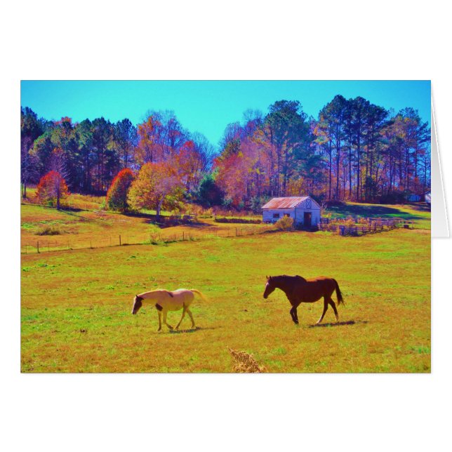 Horses in a Rainbow Coloured Field (Front Horizontal)