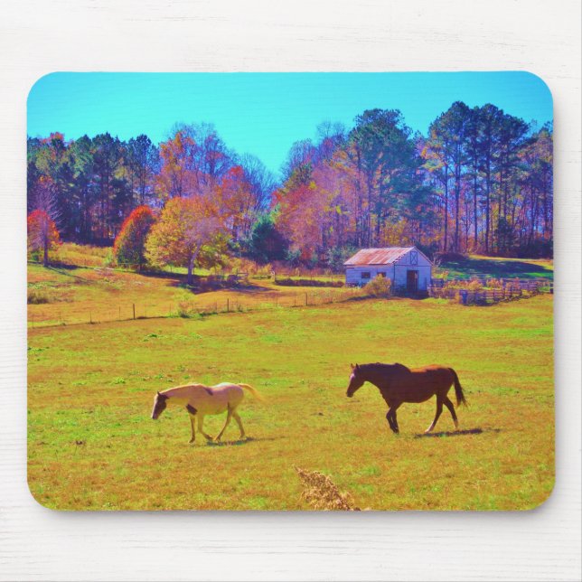 Horses in a Rainbow Coloured Field Mouse Pad (Front)