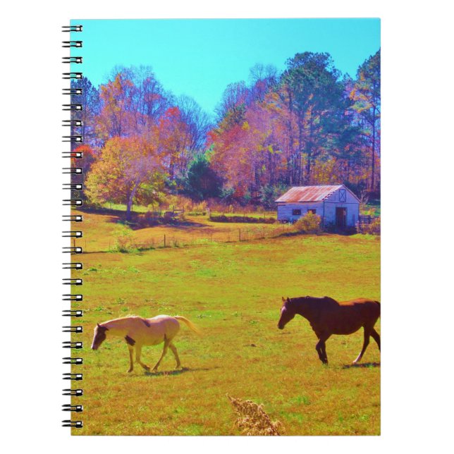 Horses in a Rainbow Coloured Field Notebook (Front)