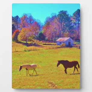 Horses in a Rainbow Coloured Field Plaque