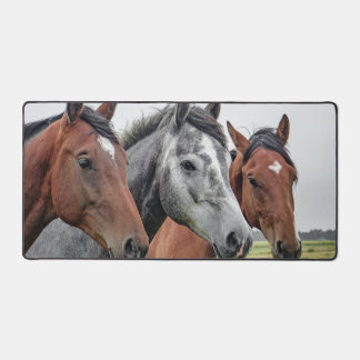 horses in a row  desk mat