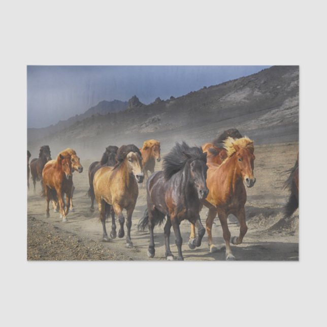 Horses in a shoot tissue paper (Front)