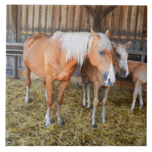 Horses in a stable ceramic tile