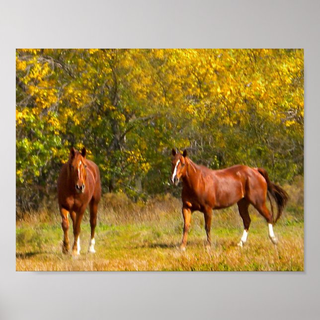 Horses in Autumn Poster (Front)