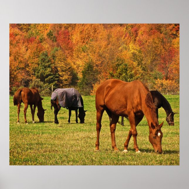 Horses in Autumn Poster (Front)