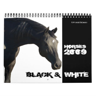 Horses in BLACK & WHITE Large 2009 Calendar