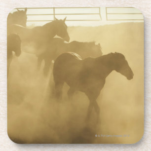 Horses in corral coaster