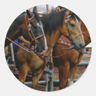 Horses in Line Classic Round Sticker