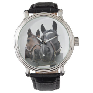 Horses in Love Watch