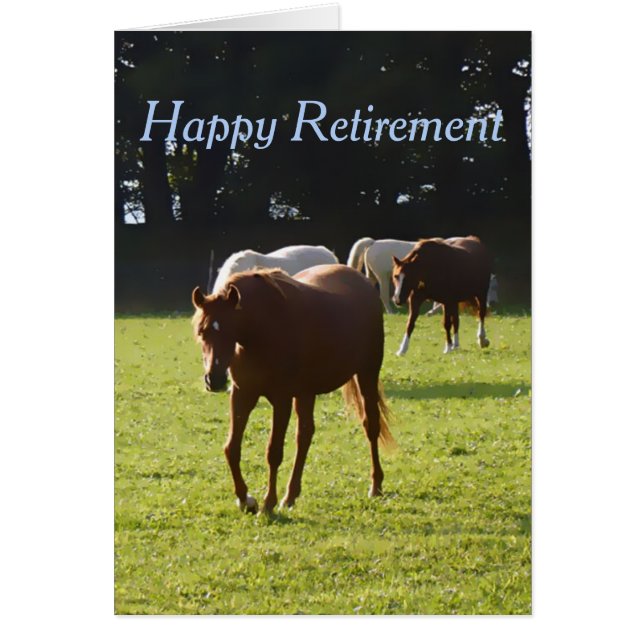 Horses in paddock Retirement card (Front)