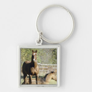Horses in pasture key ring