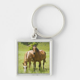 Horses in San Rafael Valley, Arizona Key Ring