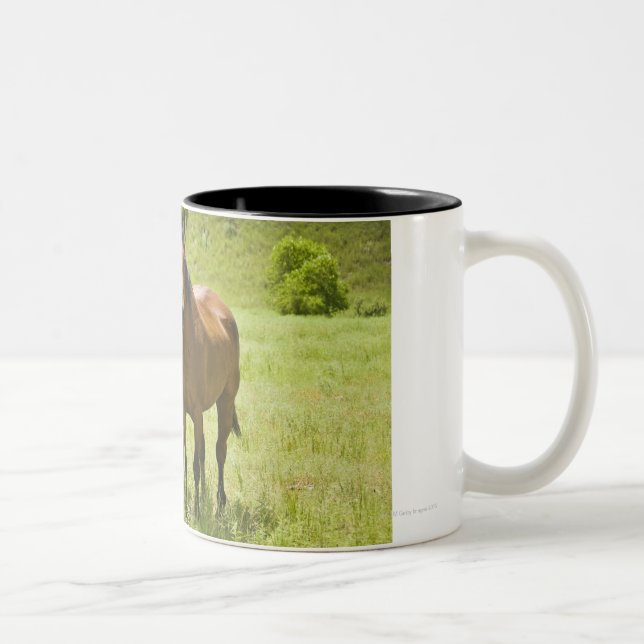 Horses in San Rafael Valley, Arizona Two-Tone Coffee Mug (Right)