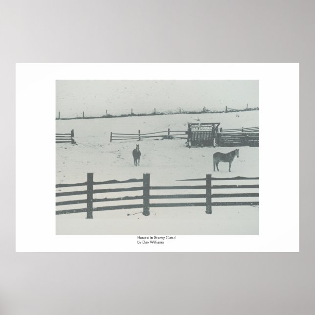Horses in Snowy Corral Poster (Front)
