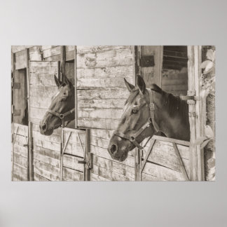 Horses in Stable Poster