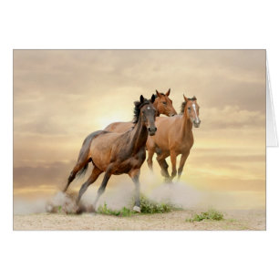 Horses In Sunset
