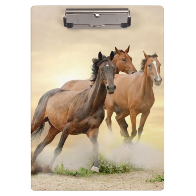 Horses In Sunset Clipboard (Front)