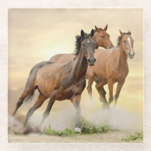 Horses In Sunset Glass Coaster